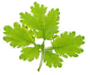 Na uboczu